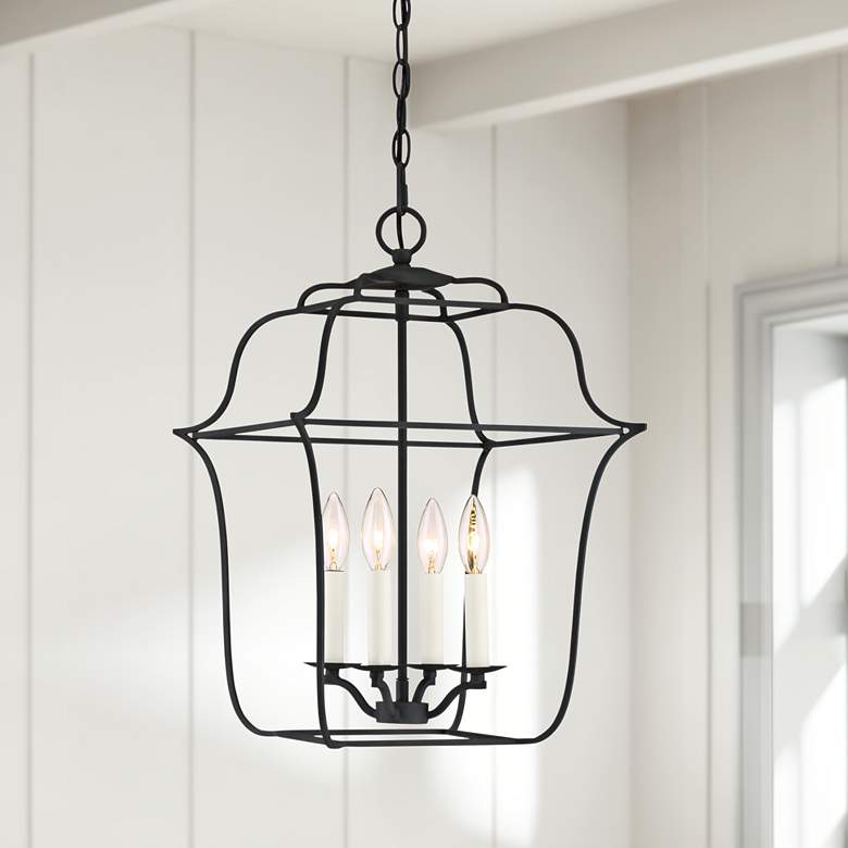 Image 1 Quoizel Gallery 14 inch W 4-Light Royal Ebony Cage Chandelier