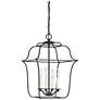 Thumbnail3 of Quoizel Gallery 14" W 4-Light Royal Ebony Cage Chandelier more views