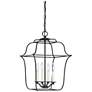 Quoizel Gallery 14" W 4-Light Royal Ebony Cage Chandelier