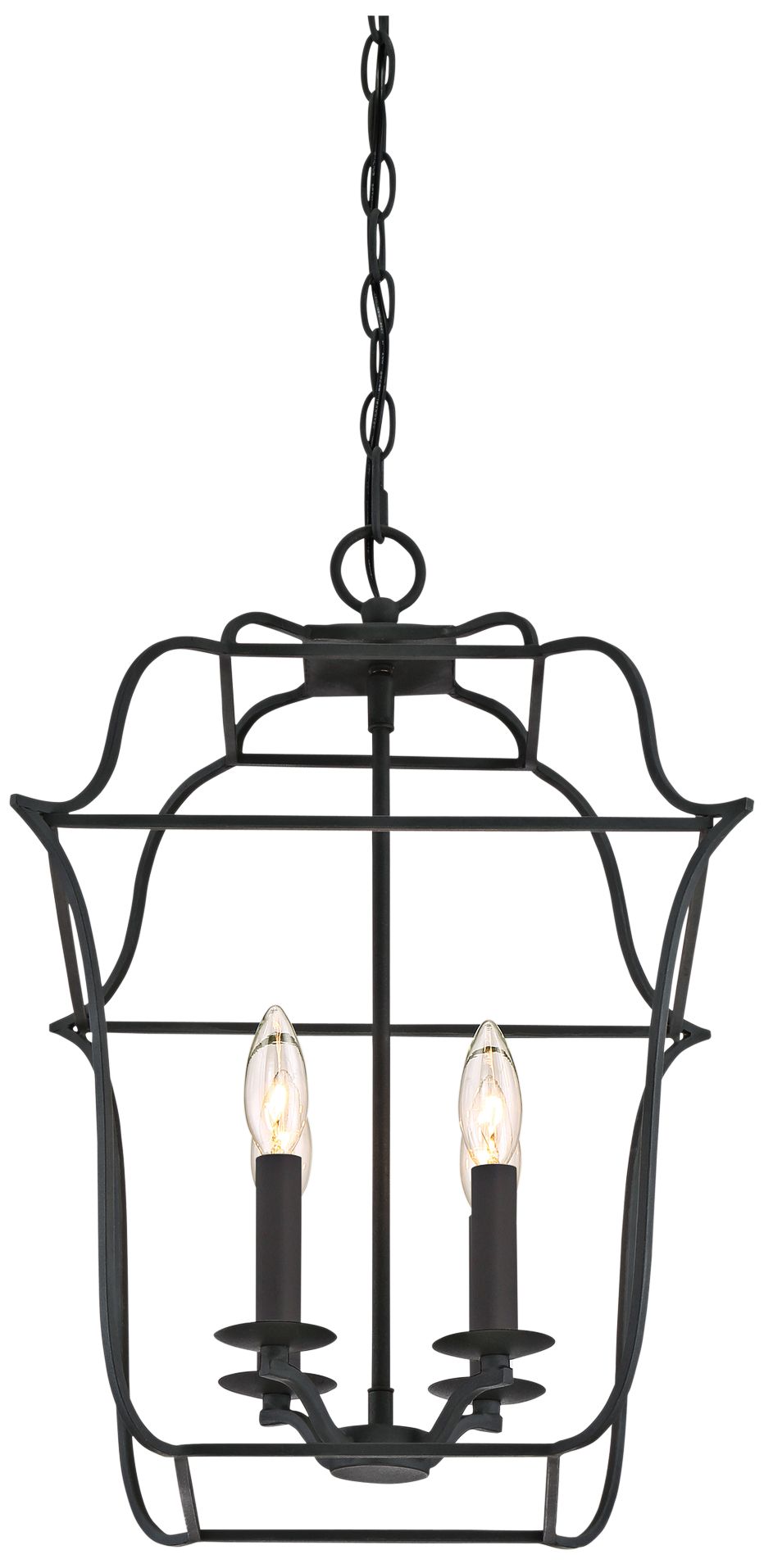 Quoizel Gallery 14" W 4-Light Royal Ebony Cage Chandelier