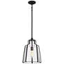 1_Quoizel Haverford 12 1/2" Wide Rustic Black Mini Pendant