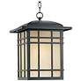 2_Quoizel Hillcrest 18" High Bronze Outdoor Hanging Light