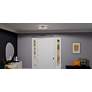6_Quoizel Ibis 17 1/2" Wide Brushed Gold LED Ceiling Light more views