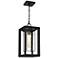 Quoizel Infinger 18" High Earth Black Outdoor Hanging Light