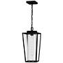 1_Quoizel Jett 18 3/4" High Matte Black Outdoor Hanging Light