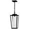 Quoizel Jett 18 3/4" High Matte Black Outdoor Hanging Light