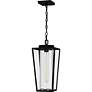 2_Quoizel Jett 18 3/4" High Matte Black Outdoor Hanging Light more views