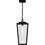 3_Quoizel Jett 18 3/4" High Matte Black Outdoor Hanging Light more views