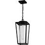4_Quoizel Jett 18 3/4" High Matte Black Outdoor Hanging Light more views