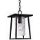 Quoizel Lodge 13 1/2" High Black Outdoor Hanging Light