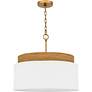 3_Quoizel Malia 20" Wide Brushed Gold Pendant Light more views