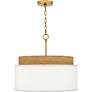 4_Quoizel Malia 20" Wide Brushed Gold Pendant Light more views