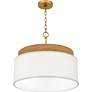 5_Quoizel Malia 20" Wide Brushed Gold Pendant Light more views