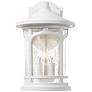 3_Quoizel Marblehead 17 3/4"H White Lustre Outdoor Wall Light more views