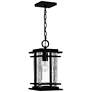 Quoizel McAlister 15 1/2" High Earth Black Outdoor Hanging Light in scene