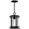 Quoizel McAlister 15 1/2" High Earth Black Outdoor Hanging Light