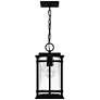 Quoizel McAlister 15 1/2" High Earth Black Outdoor Hanging Light in scene