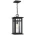Quoizel Moira 17 1/2" High Earth Black Outdoor Hanging Light