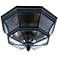 Quoizel Newbury 15 1/4" Wide Black Outdoor Ceiling Light