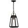 Quoizel O'Leary 16 1/2" High Earth Black Outdoor Hanging Light