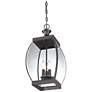 Quoizel Oasis 20 1/2" High Hanging Outdoor Light