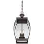 Quoizel Oasis 20 1/2" High Hanging Outdoor Light