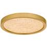 1_Quoizel Outskirts 11" Wide Brushed Gold LED Ceiling Light