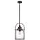 Quoizel Payson 9 3/4" Wide Brushed Nickel Mini Pendant