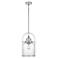 Quoizel Payson 9" Wide Brushed Nickel Mini Pendant