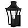 Quoizel Quentin 12" High Earth Black Outdoor Wall Light