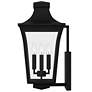4_Quoizel Quentin 20"H Earth Black 4-Light Outdoor Wall Light more views