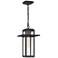 Quoizel Randall 15 3/4" High Mottled Black Outdoor Hanging Light