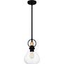 4_Quoizel Singh 8" Wide 1-Light Matte Black and Water Glass Mini Pendant more views
