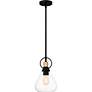 5_Quoizel Singh 8" Wide 1-Light Matte Black and Water Glass Mini Pendant more views