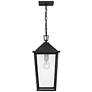 Quoizel Stoneleigh 18 3/4" High Mottled Black Outdoor Hanging Light