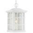 Quoizel Stonington 15" High Fresco Outdoor Hanging Light