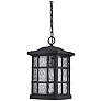2_Quoizel Stonington 15" High Matte Black Outdoor Hanging Light more views