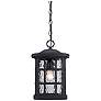 3_Quoizel Stonington 15" High Matte Black Outdoor Hanging Light more views