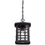 4_Quoizel Stonington 15" High Matte Black Outdoor Hanging Light more views