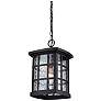 5_Quoizel Stonington 15" High Matte Black Outdoor Hanging Light more views