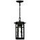 Quoizel Uma 14 3/4" High Matte Black Outdoor Hanging Light
