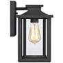 Quoizel Wakefield 11" High Earth Black Outdoor Wall Light