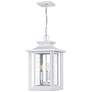 2_Quoizel Wakefield 19 1/2" High White Outdoor Hanging Light