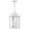 Quoizel Wakefield 19 1/2" High White Outdoor Hanging Light