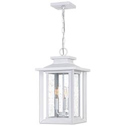 Quoizel Wakefield 19 1/2" High White Outdoor Hanging Light