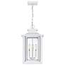 4_Quoizel Wakefield 19 1/2" High White Outdoor Hanging Light more views