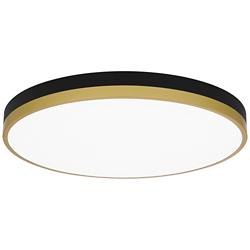 Quoizel Weldin 20" Wide Matte Black Gold LED Ceiling Light