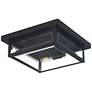 Quoizel Westover 12" Wide Earth Black Outdoor Ceiling Light