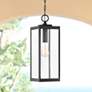 Quoizel Westover 20 3/4" Earth Black Clear Glass Outdoor Hanging Light