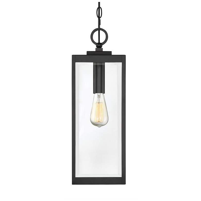 Image 4 Quoizel Westover 20 3/4" Earth Black Clear Glass Outdoor Hanging Light more views